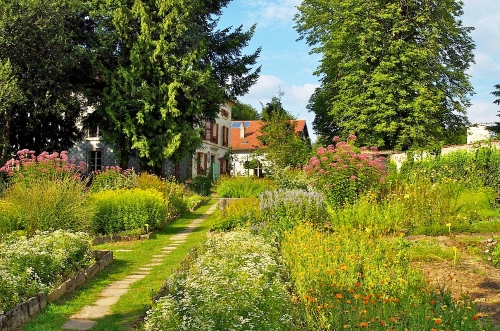 Ecolonie Vosges hébergement sain sans WiFi ecologique