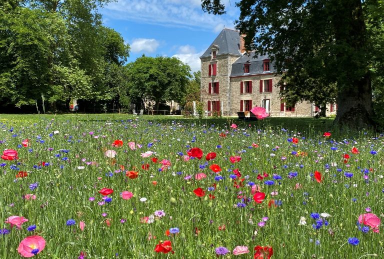 Photo de l'hébergement Domaine de la Briandais